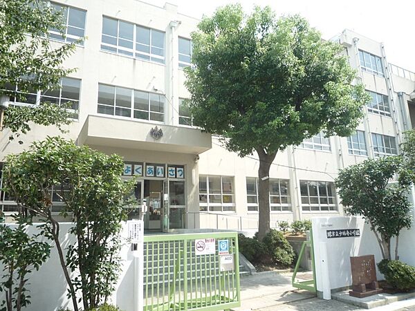 少林寺小学校
