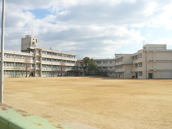 深井小学校