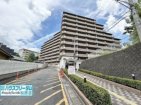 実際にご覧いただけます！