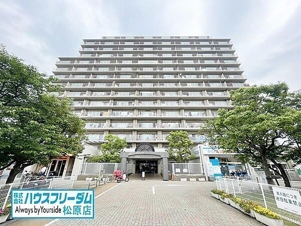 外観：327002925258