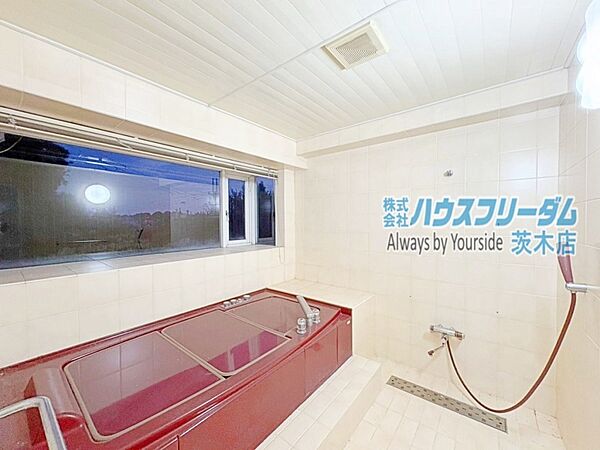 ※AIによる物消し加工あり
