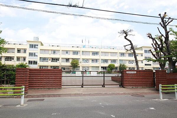 葛飾区立柴又小学校 1250m