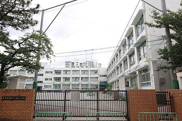 葛飾区立川端小学校 420m