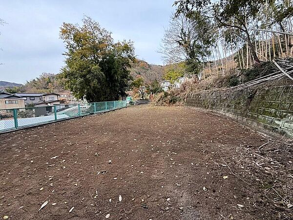 外観：334000219639