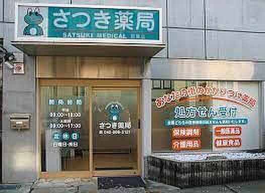 画像28:【ドラッグストア】さつき薬局日野店まで608ｍ