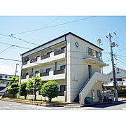 クレスト草津 3階 築40年4ヶ月の賃貸物件