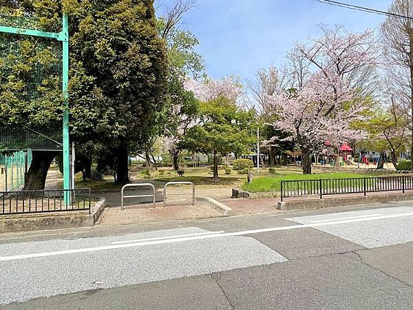 野黒公園 170m