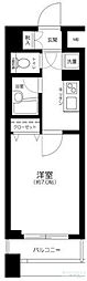 パレステュディオ池袋駅前 1Kの間取図画像