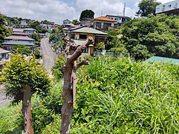 静岡県三島市大場