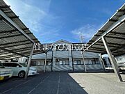 コスモスの賃貸物件