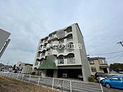 グリーンハイツ毛賀知 5階 築49年7ヶ月の賃貸物件