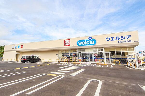 ウエルシア毛呂山平山店 440m