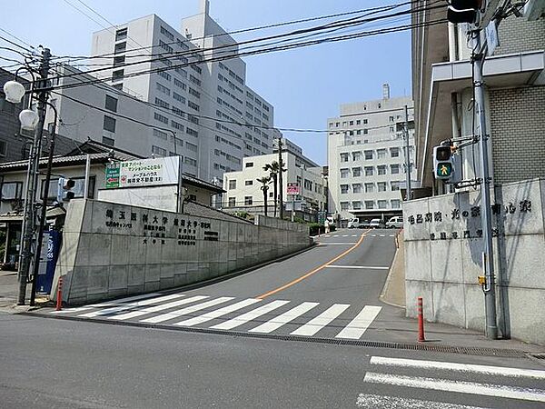 埼玉医科大学国際医療センター 3800m