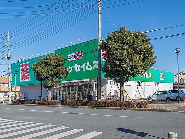 ドラッグセイムス武州長瀬駅前店 徒歩9分。 670m