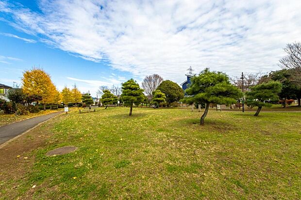 前久保中央公園(1131m)