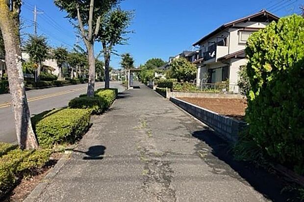 南側道路は歩道に面しております。