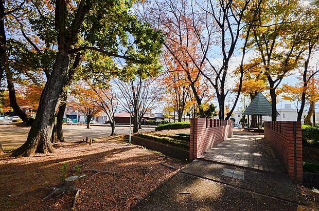 富士見北児童公園（240m）