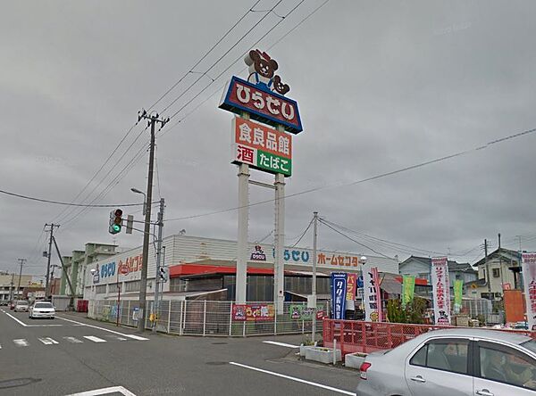 画像15:ひらせいホームセンター 坂井店（550m）