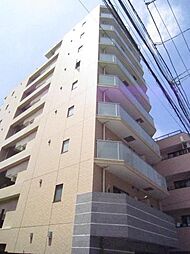 ガリシア清澄白河