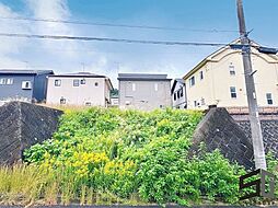 神奈川県秦野市曽屋6022-10向かい