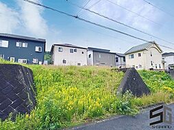 神奈川県秦野市曽屋6022-10向かい