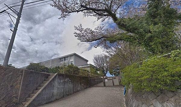 南足柄市立向田小学校 徒歩10分。小学校があり、通学の安心感と子育て世帯に嬉しい教育環境が整います。 770m