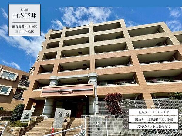 外観：312001189703