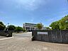 周辺：香澄小学校 1100m