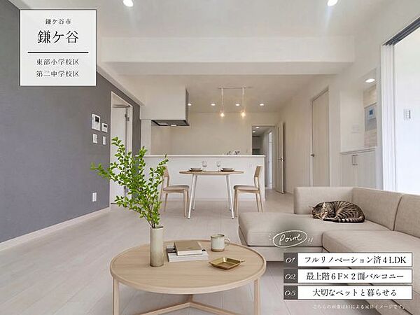 外観：312001265070