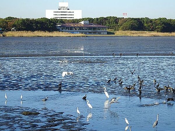 谷津干潟公園 1280m