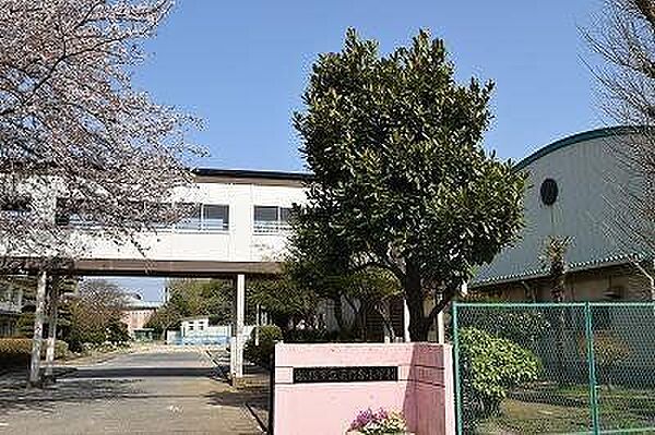 薬円台小学校 420m