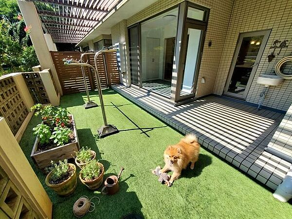 【Exterior】こちらの画像はAIによるイメージです。お庭の雰囲気を感じてみてください♪