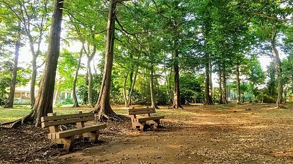 高津小鳥の森 270m