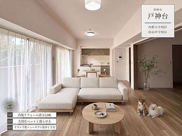 外観：312001340003