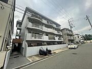 ハイツイレブン2号館 4階 築49年の賃貸物件