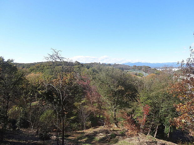 平山城址公園：徒歩3分／園内は高低差が30ｍほどあり、ちょっとした自然散策に最適な公園です。春には桜も楽しめます♪