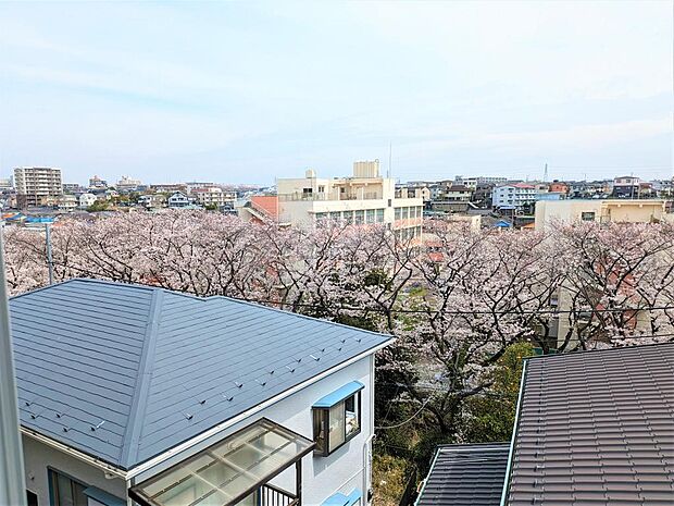 LDKからの眺望。春には引地川沿いの千本桜が眺められ、日々の暮らしを豊かにしてくれます♪