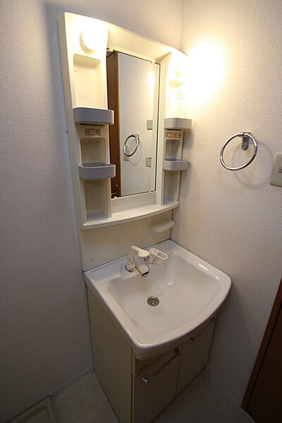 画像10:シャワー付き独立洗面台