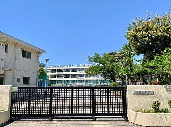 葛飾区立亀青小学校 300m