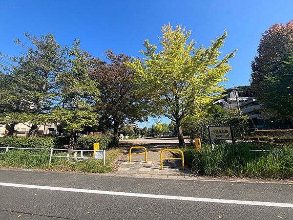 小根本公園 210m