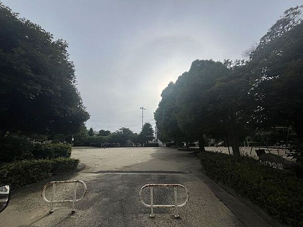ひばり公園 560m