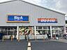 周辺：ビッグ・エー 葛飾西亀有店 290m