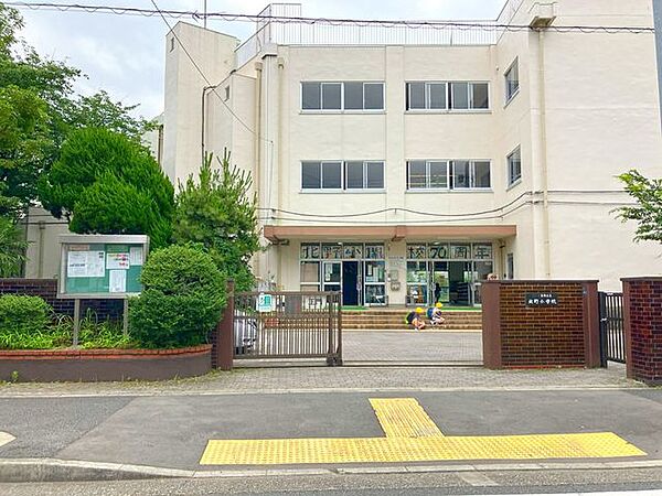葛飾区立北野小学校 20m