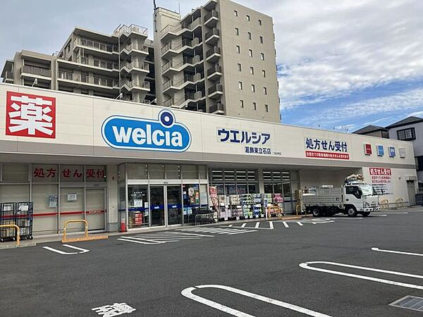 ウエルシア葛飾東立石店 280m