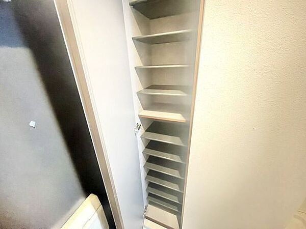 大型の下駄箱収納でお気に入りの靴もたっぷり収納できますね！