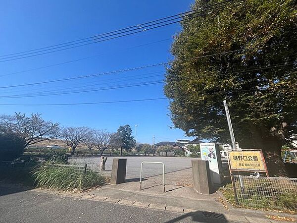 樋野口公園 100m
