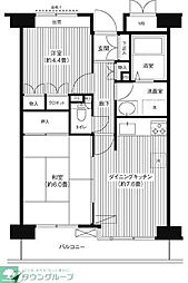 ステラメゾン武蔵小山 2DKの間取図画像
