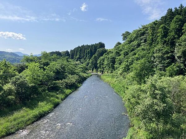 橋からの眺めです