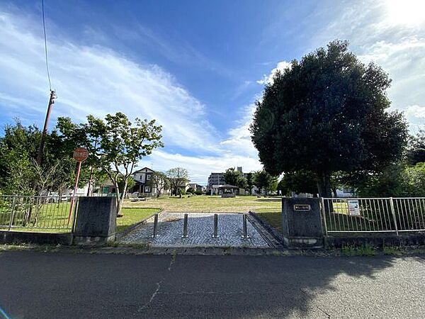 周辺を拡大表示