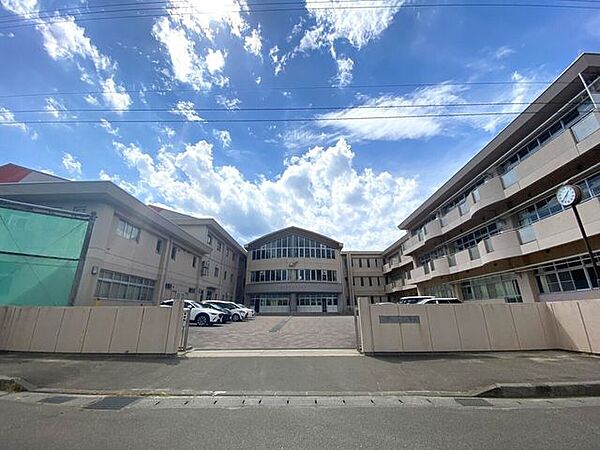 柳生中学校 800m